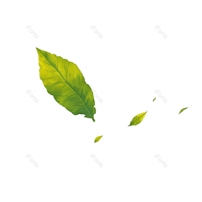 装饰图片,动感元素,装饰树叶PNG,绿叶免抠素材